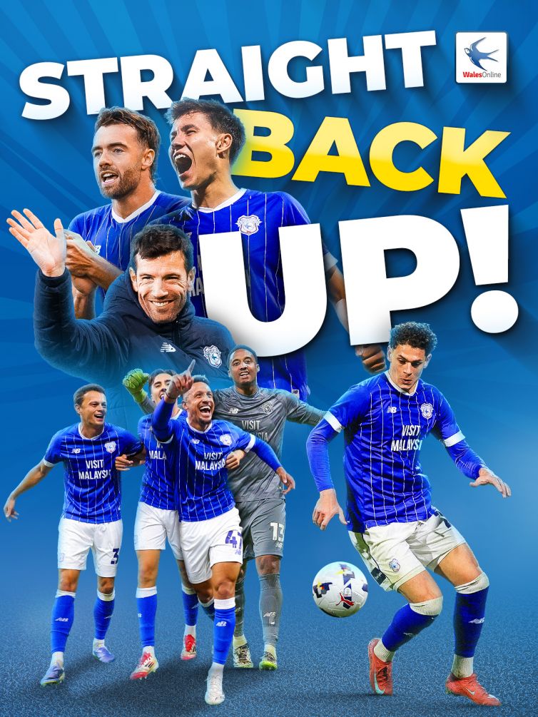 Cardiff City Wales Online