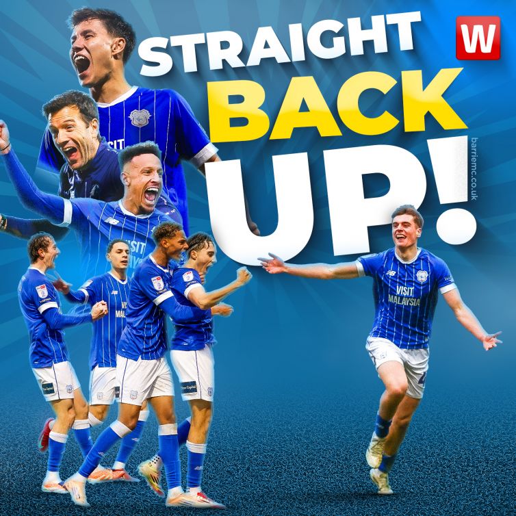 Cardiff City Wales Online