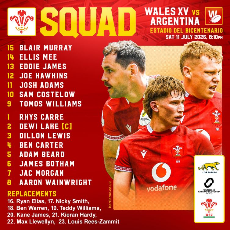 Wales v Argentina