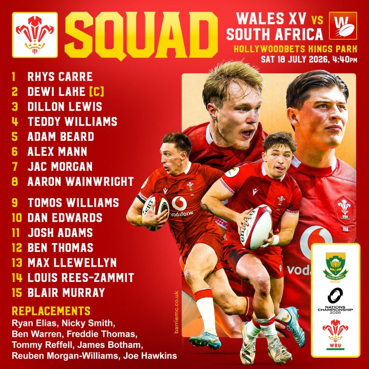 Wales vs South Africa
